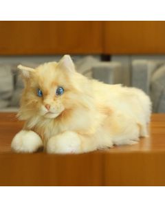 Elephant Robotics metaCat Persian Companion Robot Pet