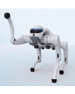 Cyberstars Robotics Cyber 1 DEV Quadruped Robot Dog