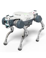 DEEPRobotics X30 Pro Industrial Quadruped Robot Dog