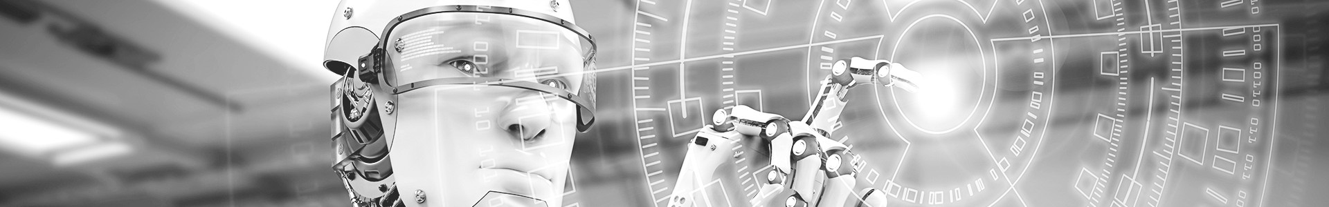 Humanoid Robot Store