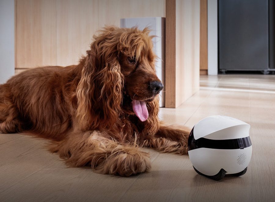 Enabot EBO Air 2 Plus Companion Robot | Orbit Grey
