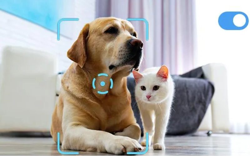 Enabot EBO X AI Family Companion Robot