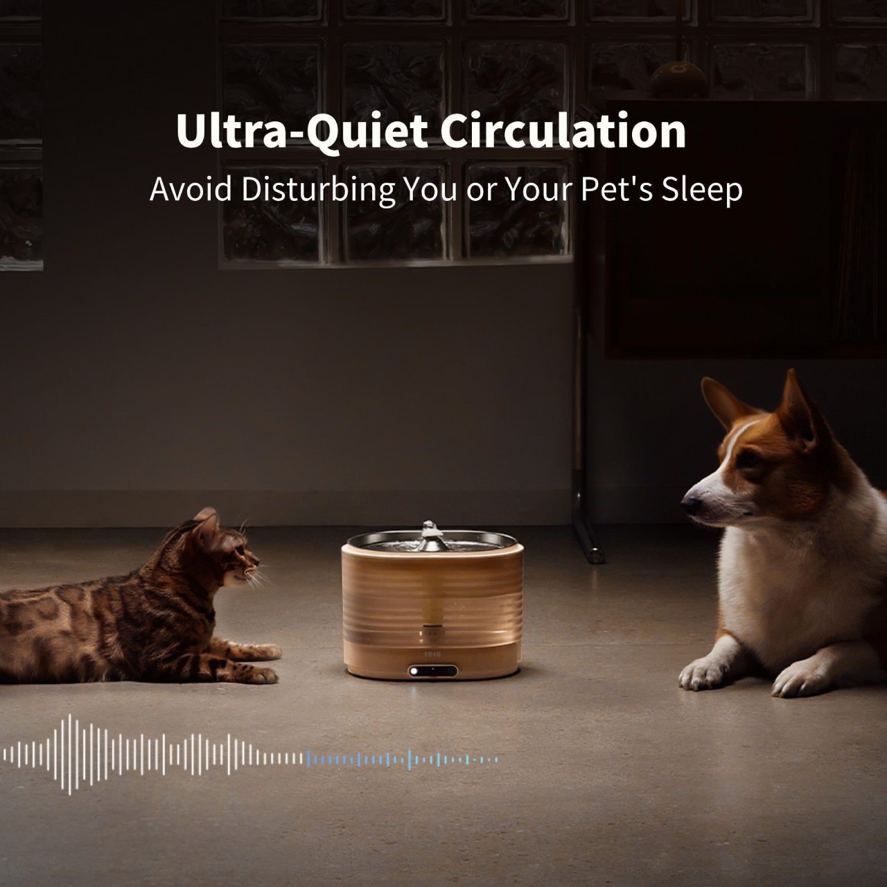 Enabot EBO SE + ROLA Smart Pet Water Fountain