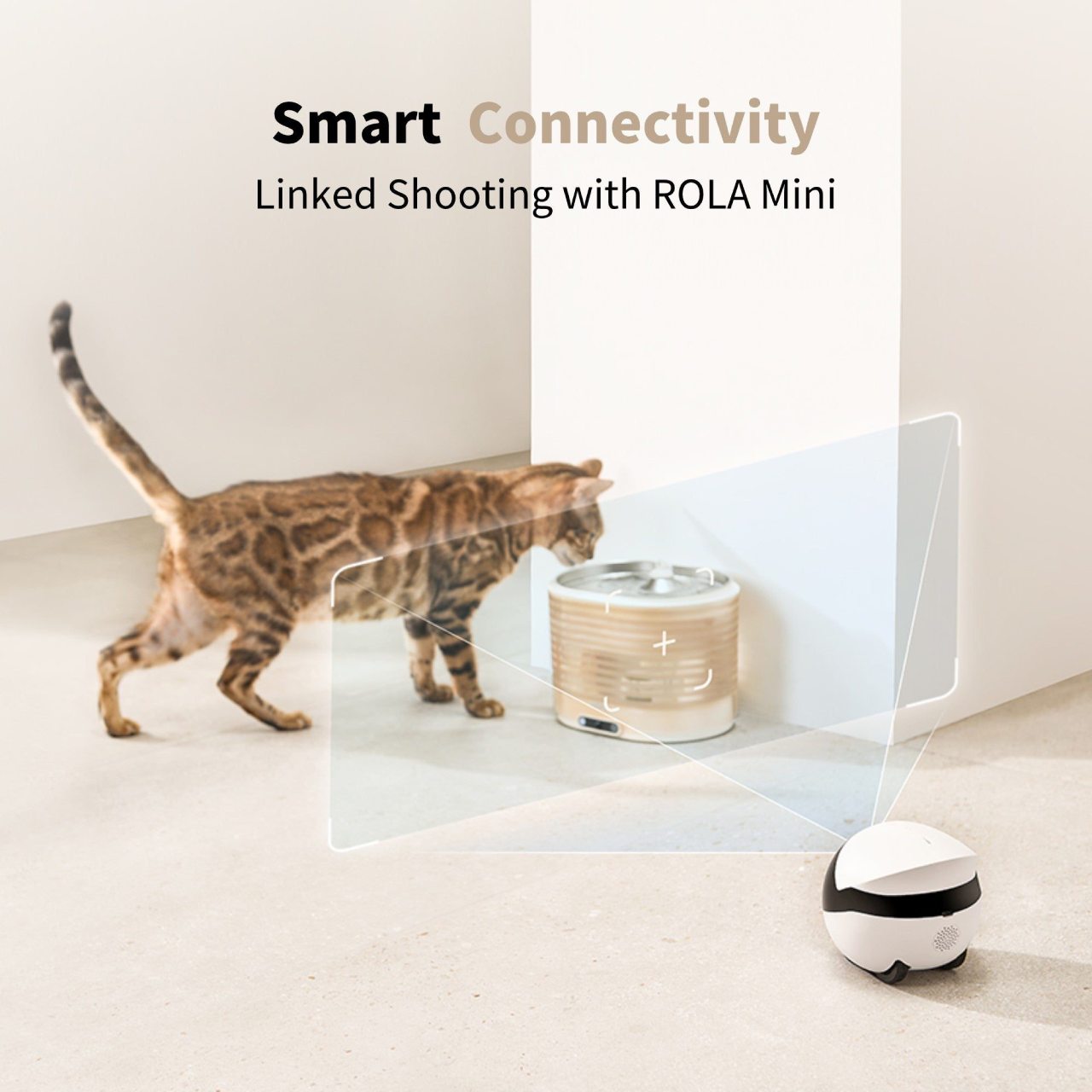 Enabot EBO SE + ROLA Smart Pet Water Fountain