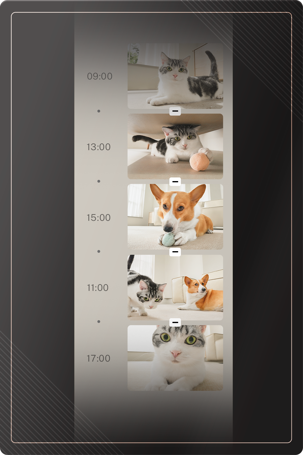 Enabot ROLA Mini Pet Companion Robot