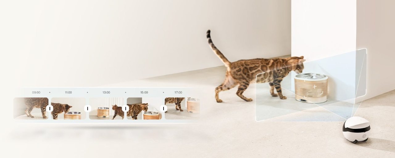 Enabot ROLA Mini Pet Companion Robot