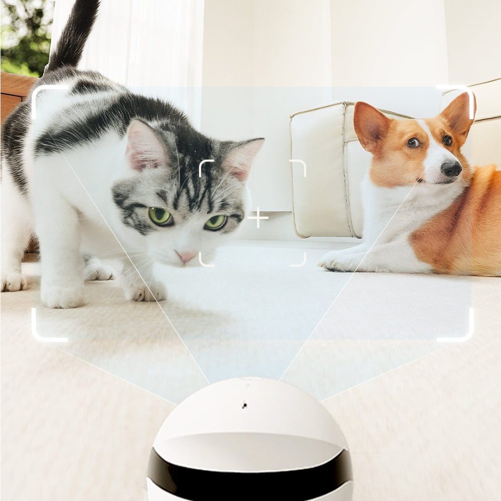 Enabot ROLA Mini Pet Companion Robot