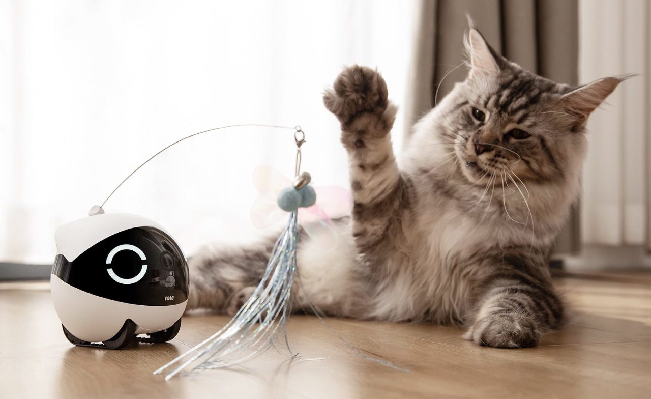 Enabot ROLA Mini Pet Companion Robot