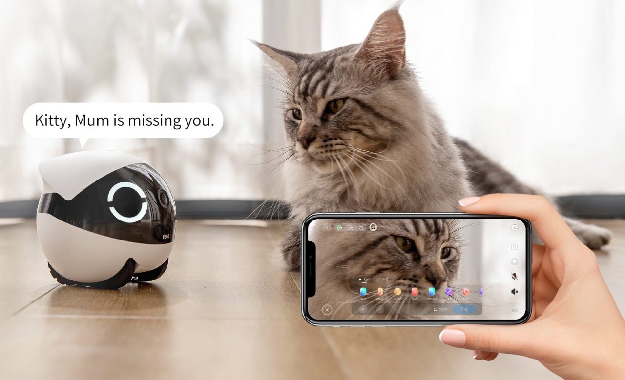 Enabot ROLA Mini Pet Companion Robot