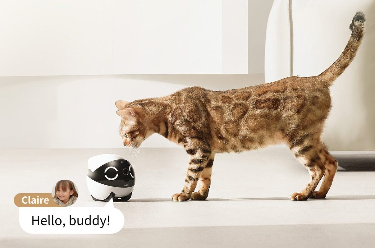 Enabot ROLA Mini Pet Companion Robot