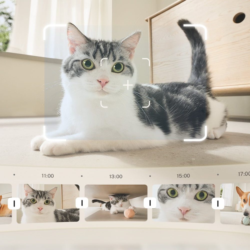 Enabot ROLA Mini Pet Companion Robot