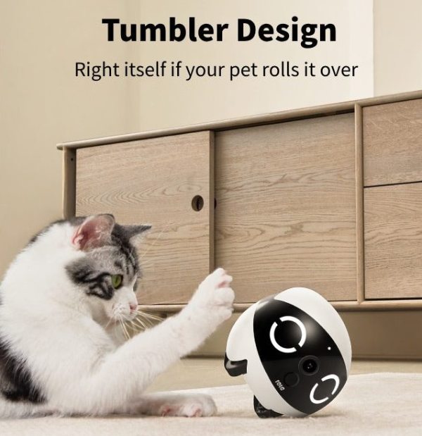 Enabot ROLA Mini Pet Companion Robot