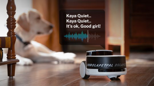 Enabot ROLA PetPal Robot Pet Companion + Interactive Toys