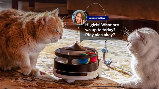 Enabot ROLA PetPal Robot Pet Companion + Interactive Toys