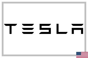 Tesla AI