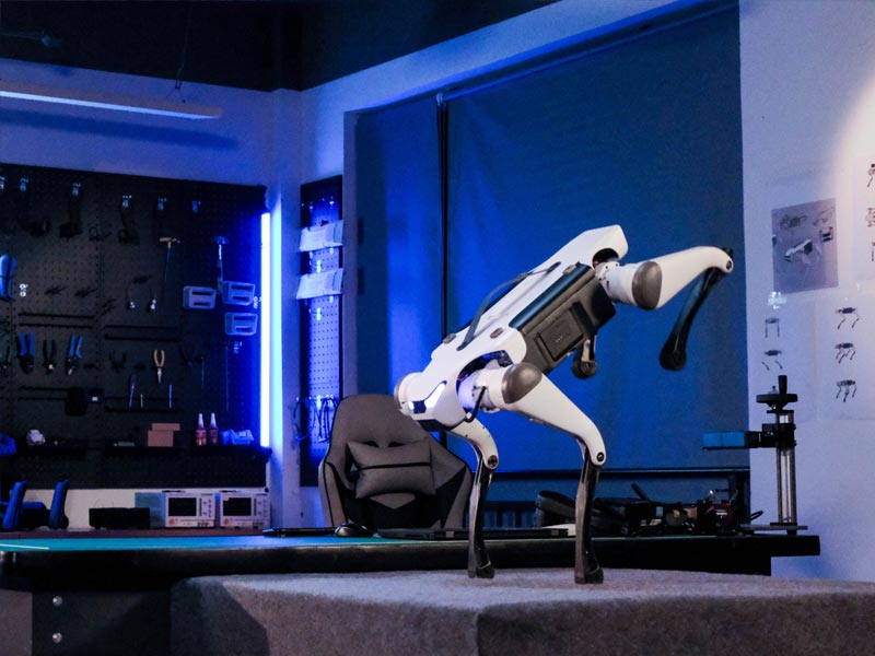 DEEPRobotics Lite3 Basic Quadruped Robot Dog