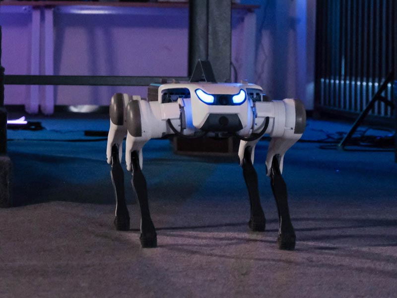 DEEPRobotics Lite3 Basic Quadruped Robot Dog