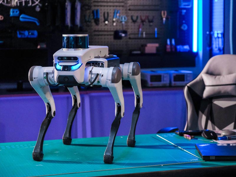 DEEPRobotics Lite3 Basic Quadruped Robot Dog