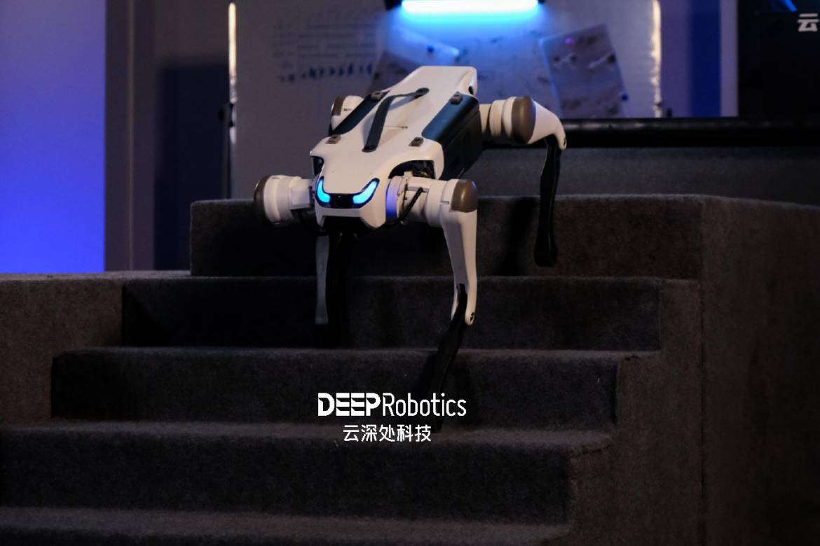 DEEPRobotics Lite3 Basic Quadruped Robot Dog