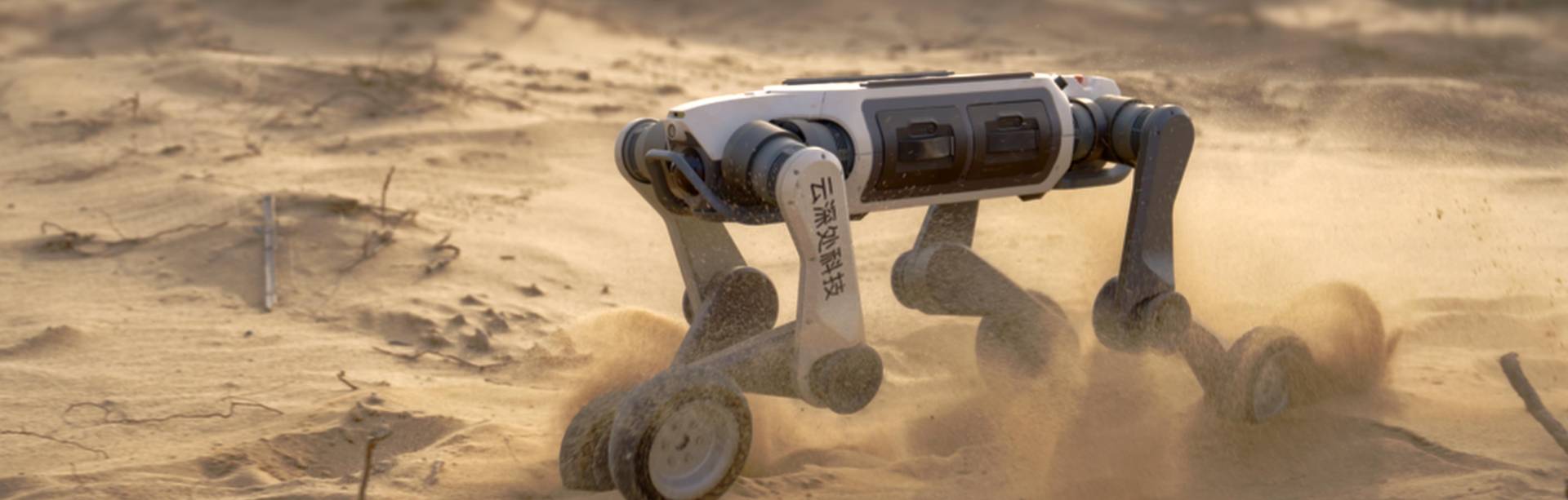 DEEPRobotics Lynx M20 All-Terrain Quadruped Robot Dog