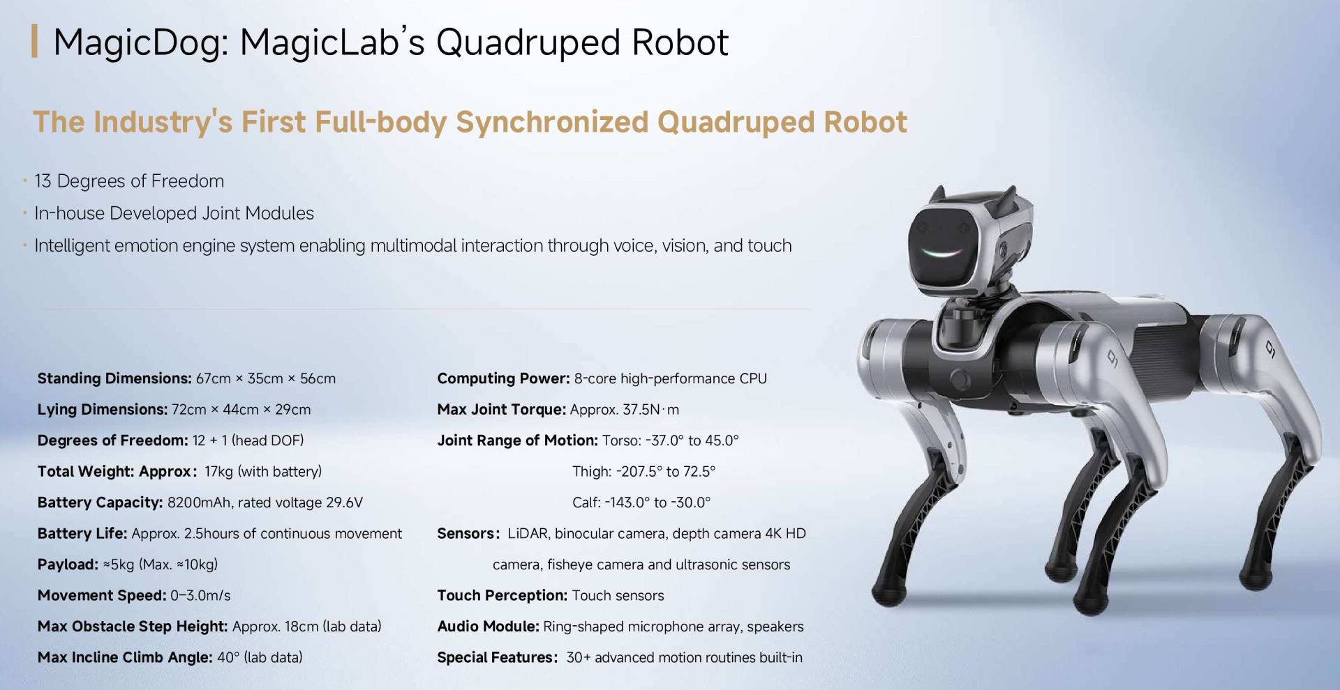 MagicLab MagicDog EDU Quadruped Robot Dog