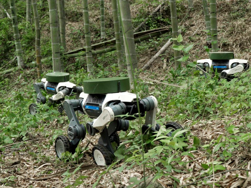 DEEPRobotics Lynx S10 All-Terrain Quadruped Robot Dog
