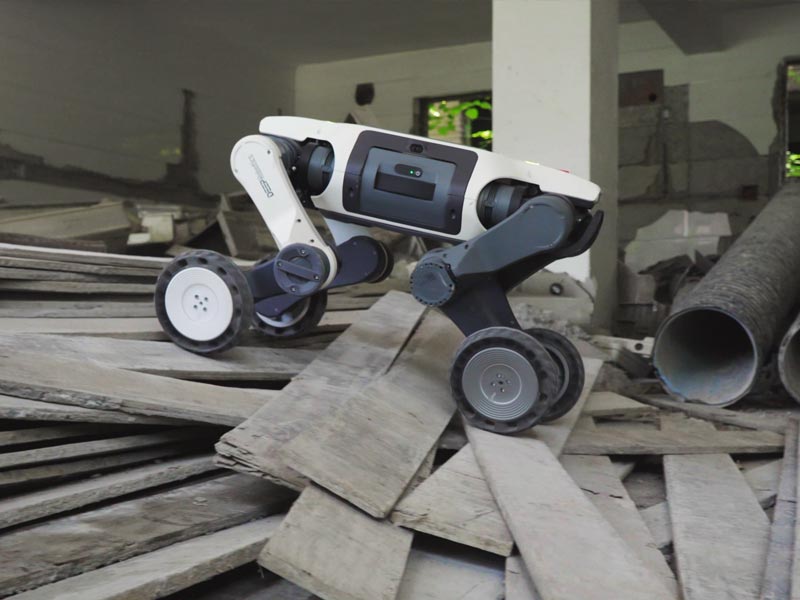 DEEPRobotics Lynx S10 All-Terrain Quadruped Robot Dog