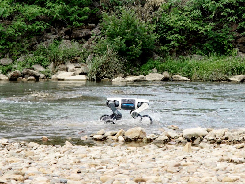 DEEPRobotics Lynx S10 All-Terrain Quadruped Robot Dog
